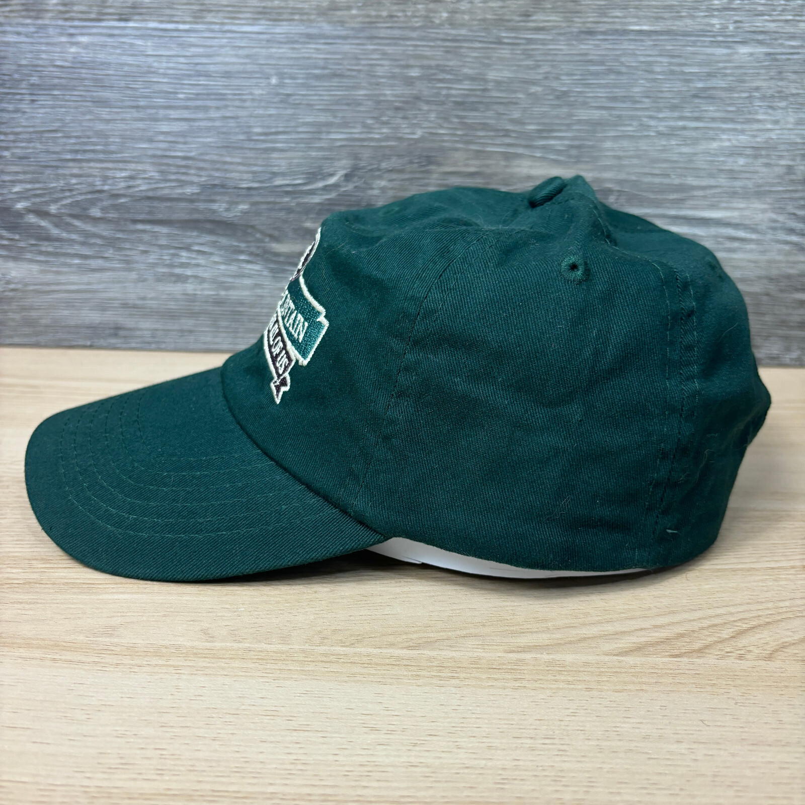 Fun Mountain Hat Cap Strap Back Green Ridgedale M… - image 4
