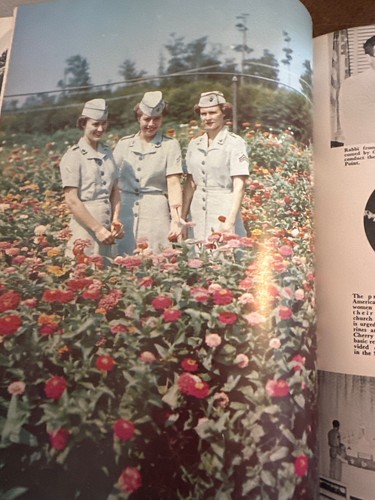 1953 US Marine Corps Cherry Point NC North Carolina Illustrated Book - Picture 10 of 21
