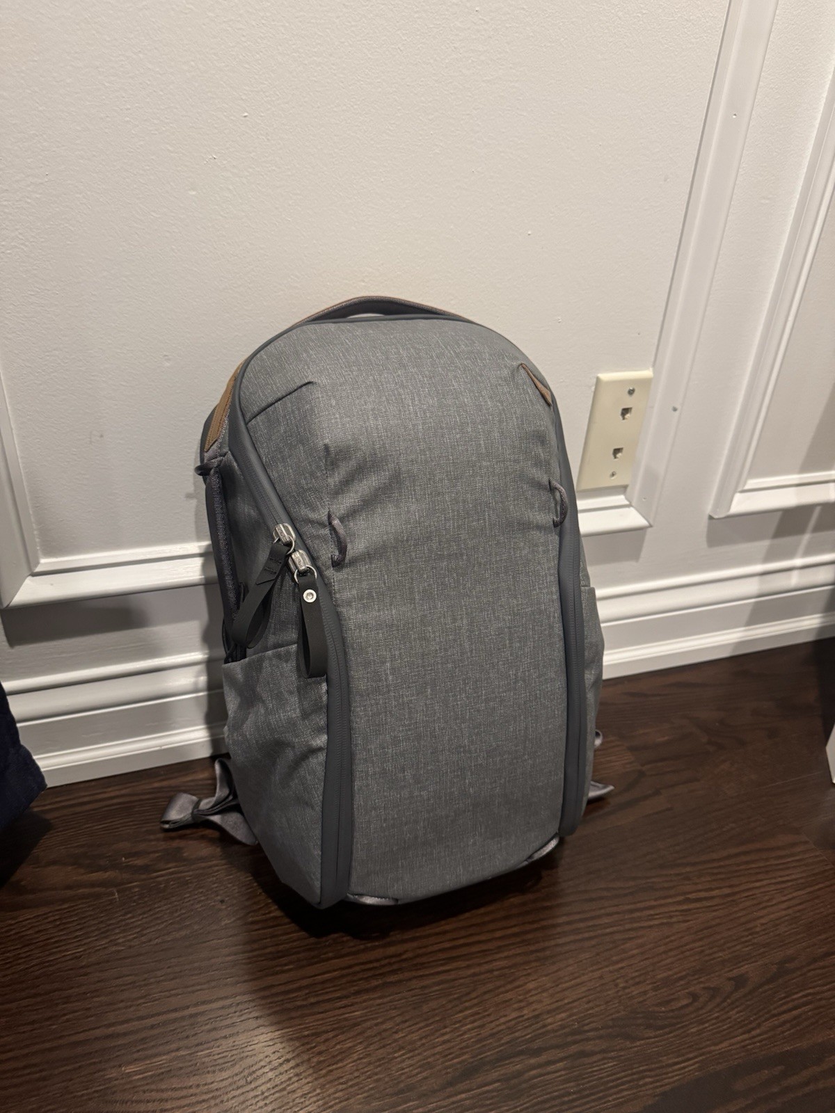 Peak Design Everyday Backpack