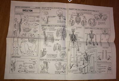 Vintage 1986 Anatomia Board Game Battat Games RARE Skeleton Model - COMPLETE