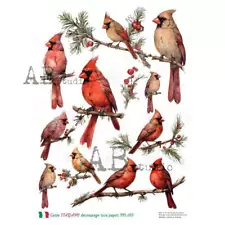 Winter Cardinals | A4 Rice Paper | Paper for Decoupage | AB Studios