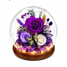 Purple/White Fresh Rose & Butterfly in Glass ...