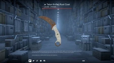 In game CS2 Talon Rust Coat Battle Scared