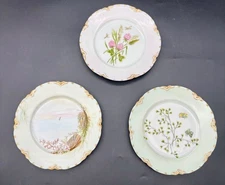 Haviland & Co Limoges Decorative Plates Hand-Painted Set of 3