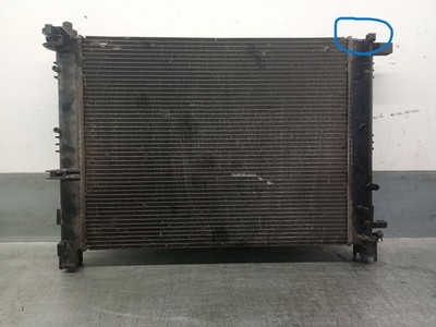 214100078R WASSERRADIATOR / CALSONIC KANSEI / 214100078R / 5344402 FÜR DACIA DOK