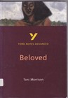 Beloved: York Notes Advanced by Toni Morrison Paperback Book The Cheap Fast Free