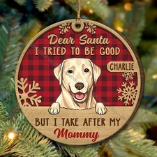 I Tried To Be Good Dog Cat, Christmas Shaped Ornament, Custom Gift For Pet Lo...