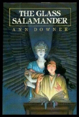 Complete Book Series - Spellkey Trilogy Fantasy by Ann Downer #1-3 Keepers