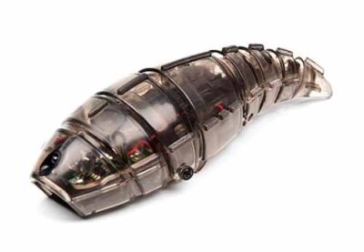 Hexbug Spielzeug Roboter Larva Kinder Raupe Tierchen