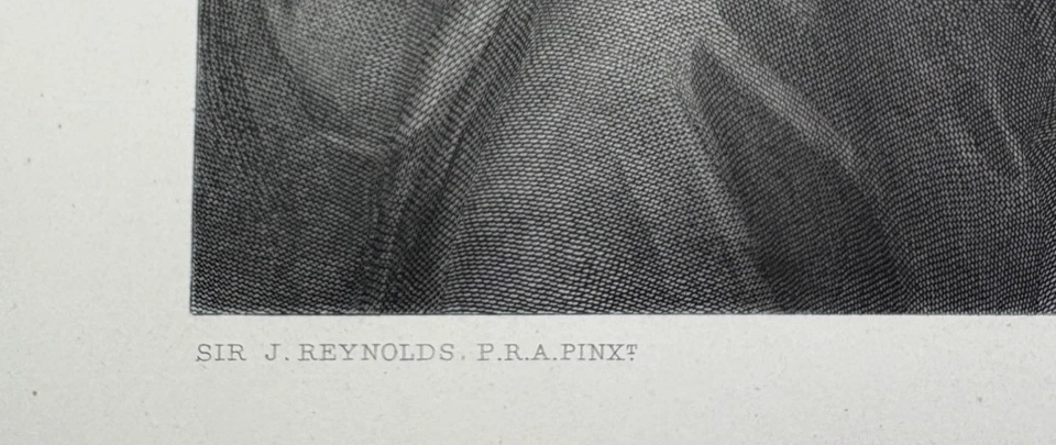 Robinson by Reynolds, The Snake in the Grass, Tafel um 1840 - Bild 4 von 4