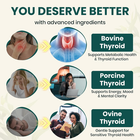 Thyroid Supplement – Tridexthyro™ Raw Desiccated Thyroid Complex 375 Mg with Bov