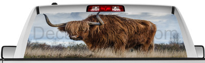Rear window graphic view thru decal sticker, pickup truck SUV Vans ANI112