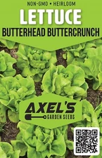 Buttercrunch Butterhead Lettuce Seeds, NON-GMO, FREE SHIP