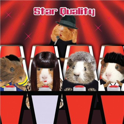 Crazy Crew Karte - The Voice Star Qualität Meerschweinchen (Glückwunschkarte) 59836
