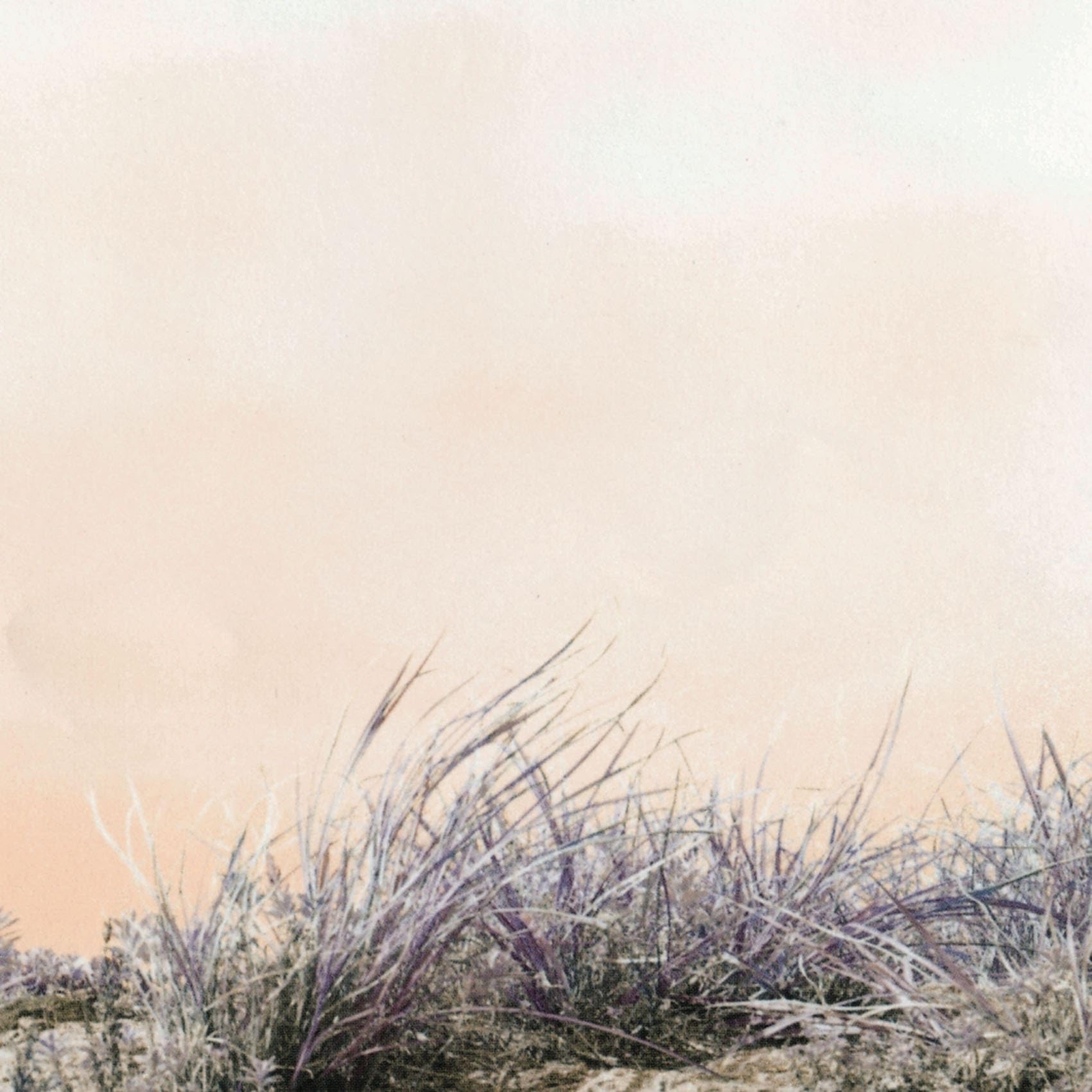 Art-School Love/Hate (Vinyl LP)