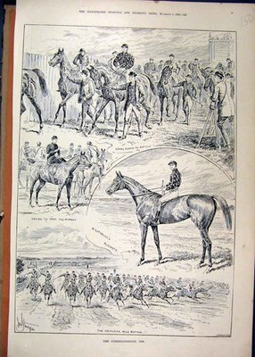 Original Old Antique Print 1890 Cambridgeshire Horse Race Abingdon Mile Alicante