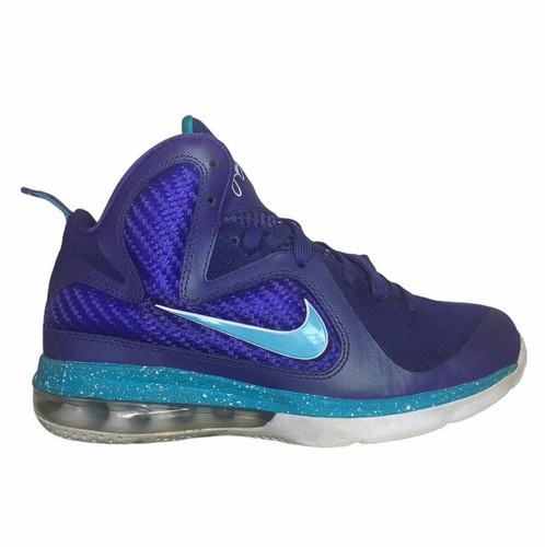 Nike Lebron James IX Purple Summit Lake 