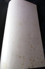 VINTAGE JAPANESE PRINT Kyoto Seigan-ji Temple Attributed to Tosa Yukimitsu — photo 5