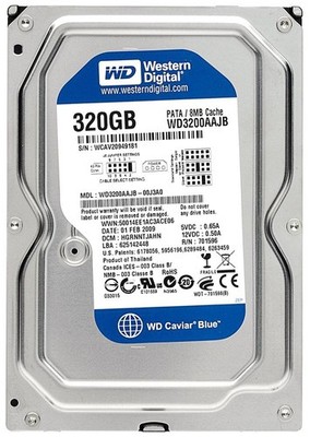 Western Digital HDD 320GB WD3200AAJB 3.5-Inch 320GB PATA 7200rpm 8MB
