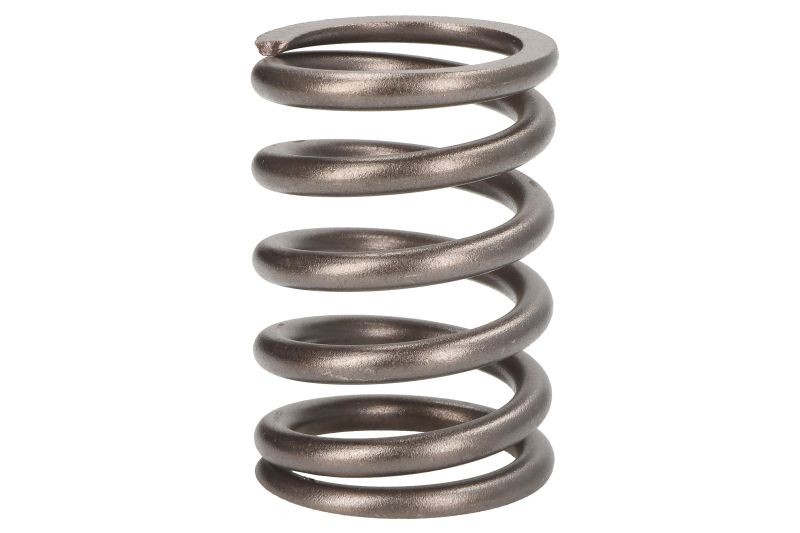 Fits VAPORMATIC VPA2005 Valve spring VPA2005 Valve spring fits: CASE  ⭐UK Stock⭐