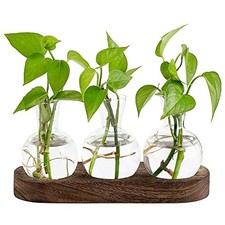 Desktop Plant Propagation Station Glass Planter Terrarium with Medium Brown