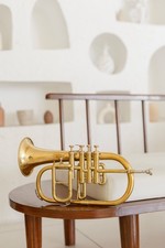 Flugel Horn Brass Bb Flat 4 Valve With Hard Case Mouthpiece gold InstrumenT