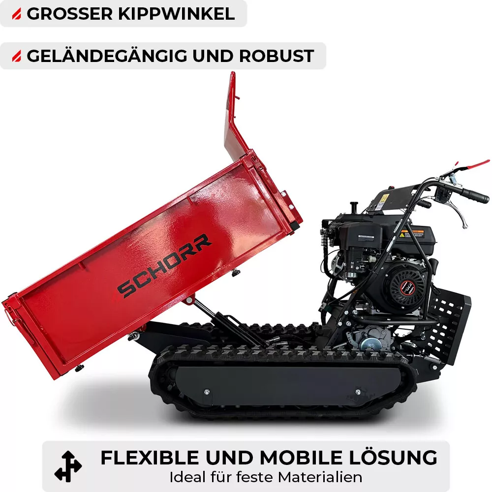 Bild 8 von 12