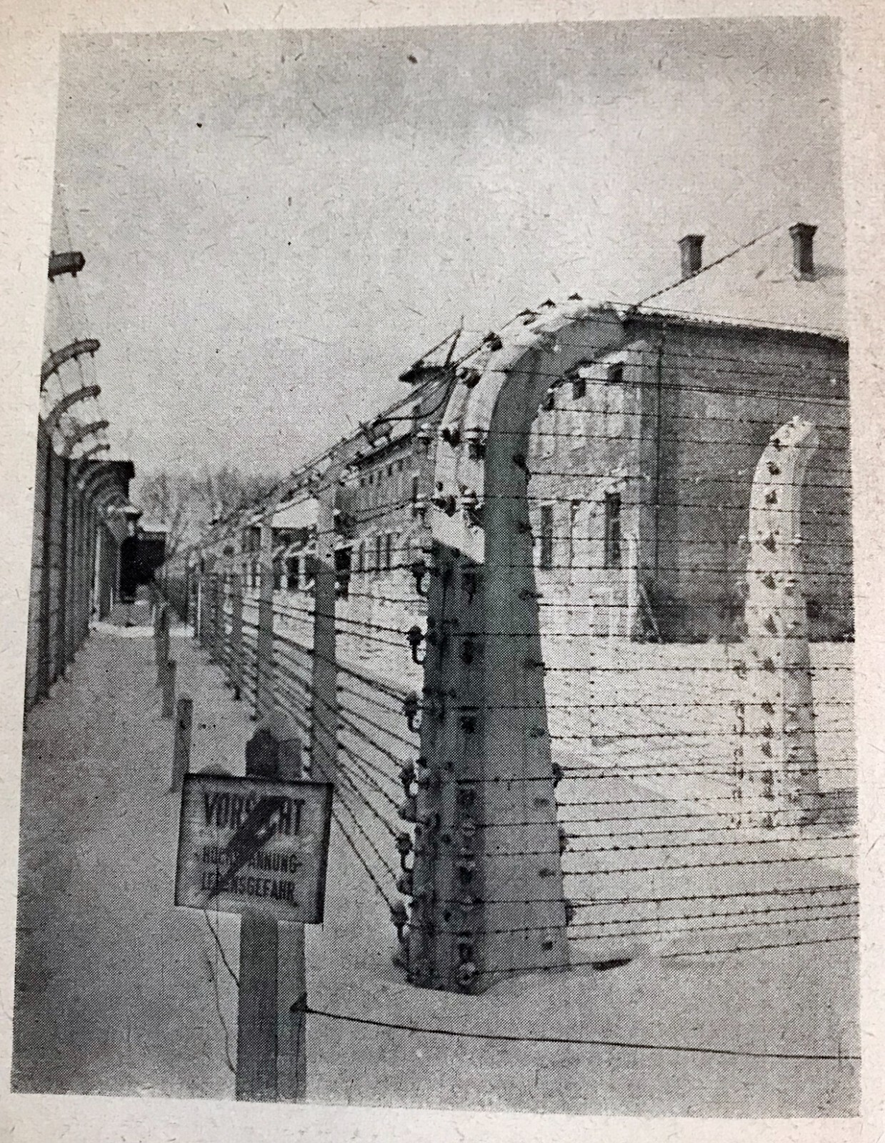 Foto 7 di 24