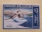US Federal Duck Stamp #RW34 1967 - MNH glazed gum — photo 1