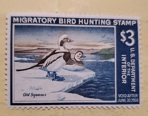 US Federal Duck Stamp #RW34 1967 - MNH glazed gum
