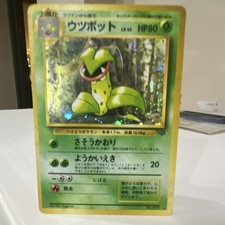 Pokémon Victreebel Jungle Holo Rare No.071 80 HP Japanese 1996 TCG Card
