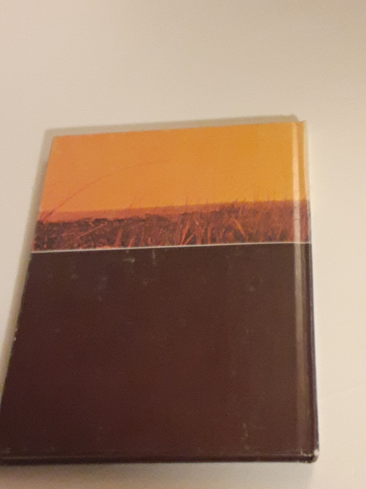 Picture 2 of 6