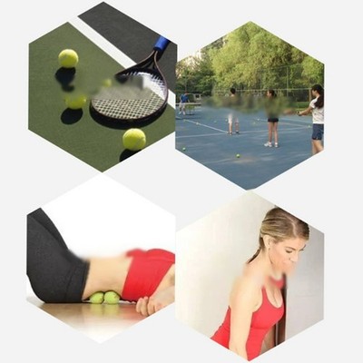 Training und Trainieren mit High Bounce Tennisbällen für Hunde 6 4CM bissfest