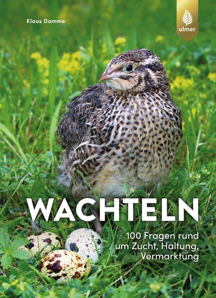 Thumbnail - Wachteln - Klaus Damme - 9783818614225 Portofrei