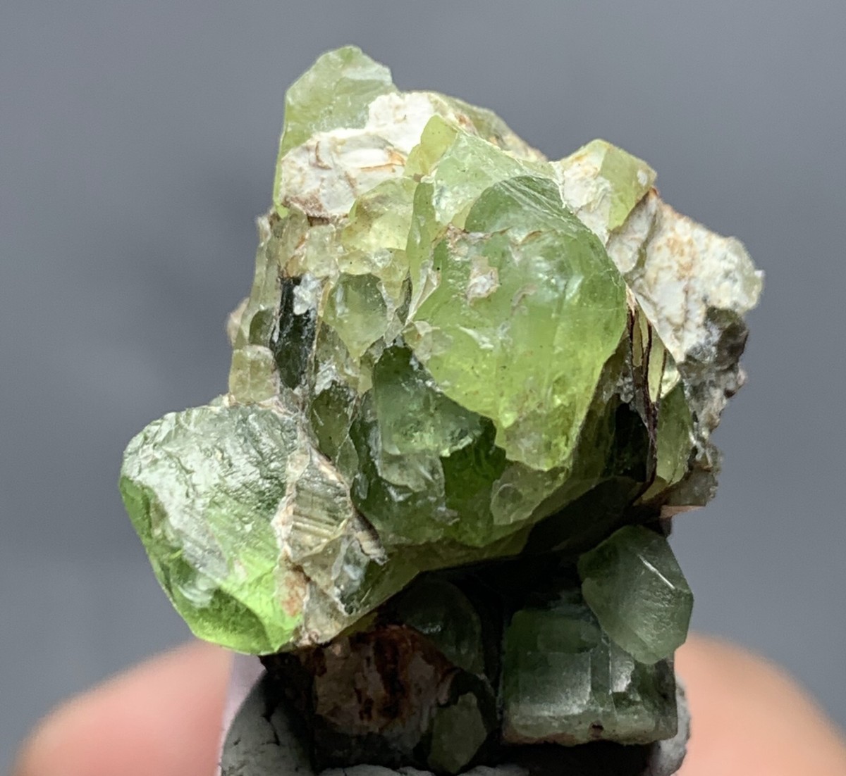 Pierre Précieuse Péridot Du Pakistan - 1,82 Ct, Taille Marquise, Vert Vif - Neuf Sans Emballage
