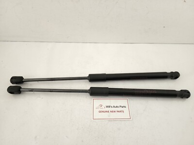 GENUINE BRAND NEW LIFTER -TAIL GATE 2EA SET SUITS HYUNDAI VELOSTER 2014
