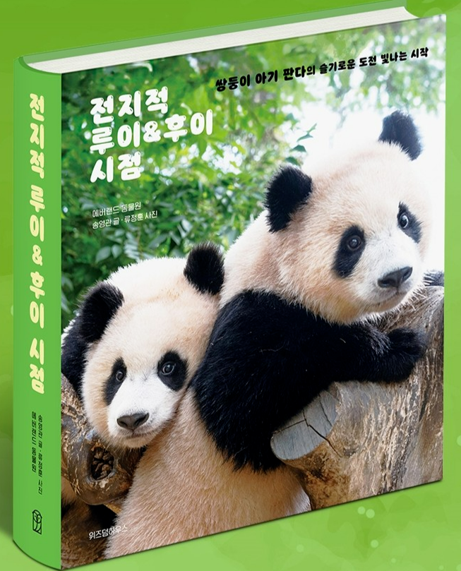 PANDAページ Panda RuiBao & HuiBao Photo Essay by Everland Zoo (+ AiBao