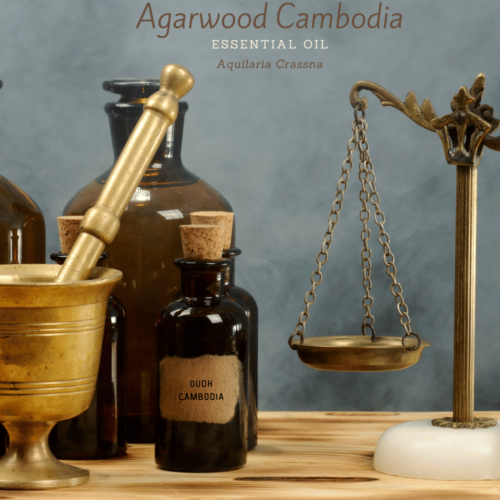 Huile essentielle d'oud cambodgien bois d'agar (Aquilaria crassna).  - Photo 1/6