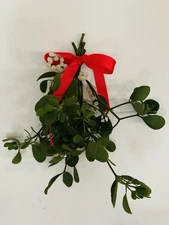 Fresh Mistletoe Berries Bow Christmas Decor Wall Hanger Kiss Me Gift Merry 9"