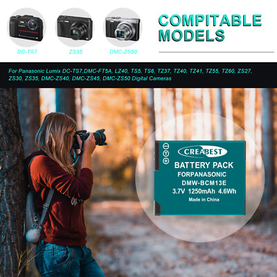 DMW-BCM13E BCM13 BCM13PP (2 pezzi) Batteria di ricambio ricaricabile e caricatore Dual compatibile con modelli DMC-FT5 LUMIX TZ e FT, ecc
