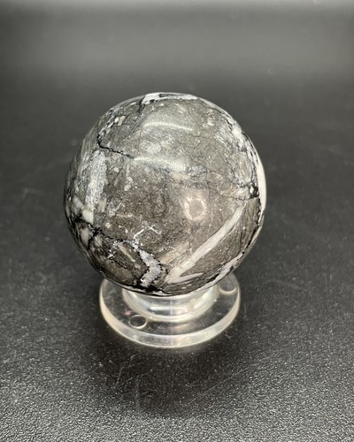 Polished Crinoid Fossil Crystal Sphere Fossilized Crinoid Ball 1.378” - Picture 3 of 12