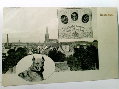 Buxtehude. Alte AK s/w. gel. 1913. Ortsansicht mit Kirche, Hundeportrit, Igel, H