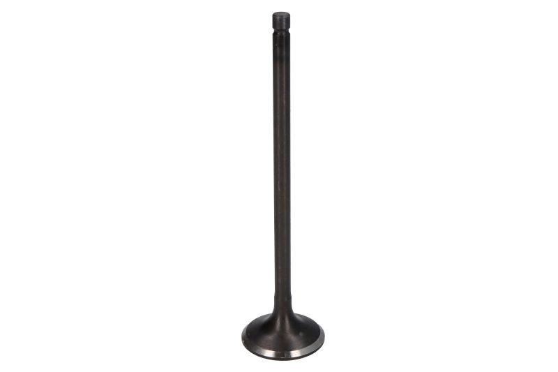 4x ✅Fits FRECCIA 4900/SNT Intake Valve 4900/SNT Intake valve (29x5,5 ⭐UK Seller⭐