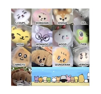 SEVENTEEN ウォヌ　miniteen まとめ売り Seventeen Miniteen Fanmade Plush 3pcs Doll Keychain Pendants Gift