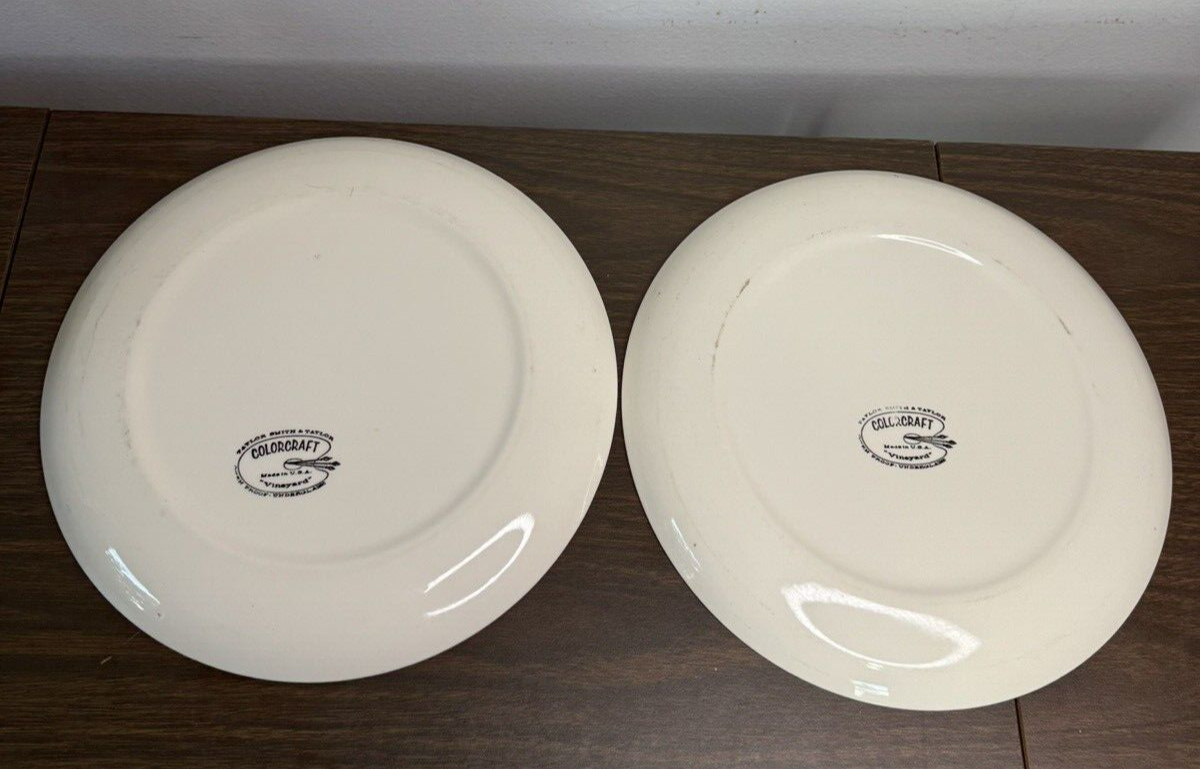 Taylor Smith & Taylor Colorcraft Set/2 Dinner Plates Vineyard 10 1