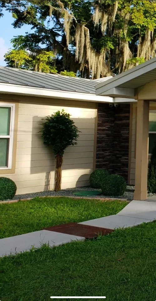 Árbol de ficus artificial topiario UV de 7,5’ decoración del hogar (interior exterior). Venta al por menor $272 Foto 2 de 4