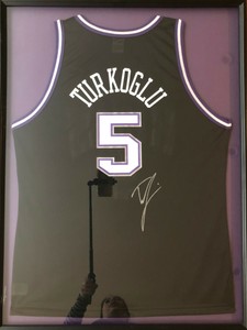 hedo turkoglu jersey