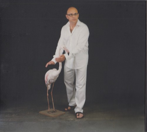 DE-PHAZZ Daily Lama CD Album 2002 WIE NEU True North Jazz / Club / Downtempo Hit - Picture 2 of 6