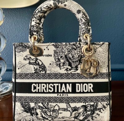 NWOT CHRISTIAN DIOR Canvas Embroidered Zodiac D-Lite Bag Orange Sz M