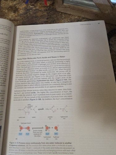 Essentielle Zellbiologie von Bruce Alberts, Alexander Johnson, Julian Lewis, Dennis - Bild 3 von 4